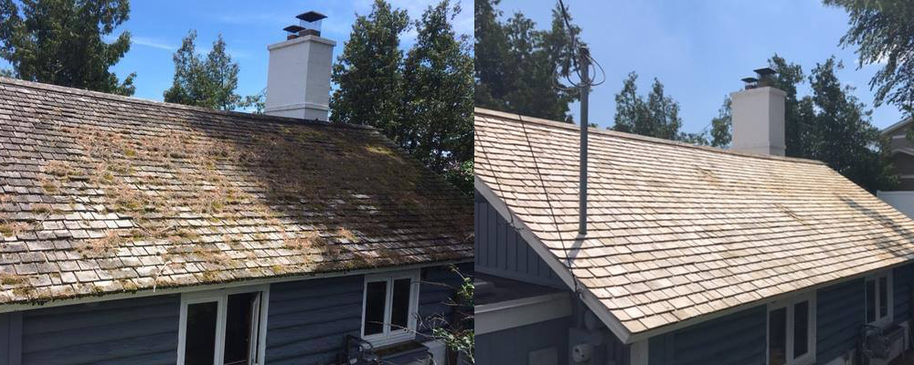 cedar_roof.jpg